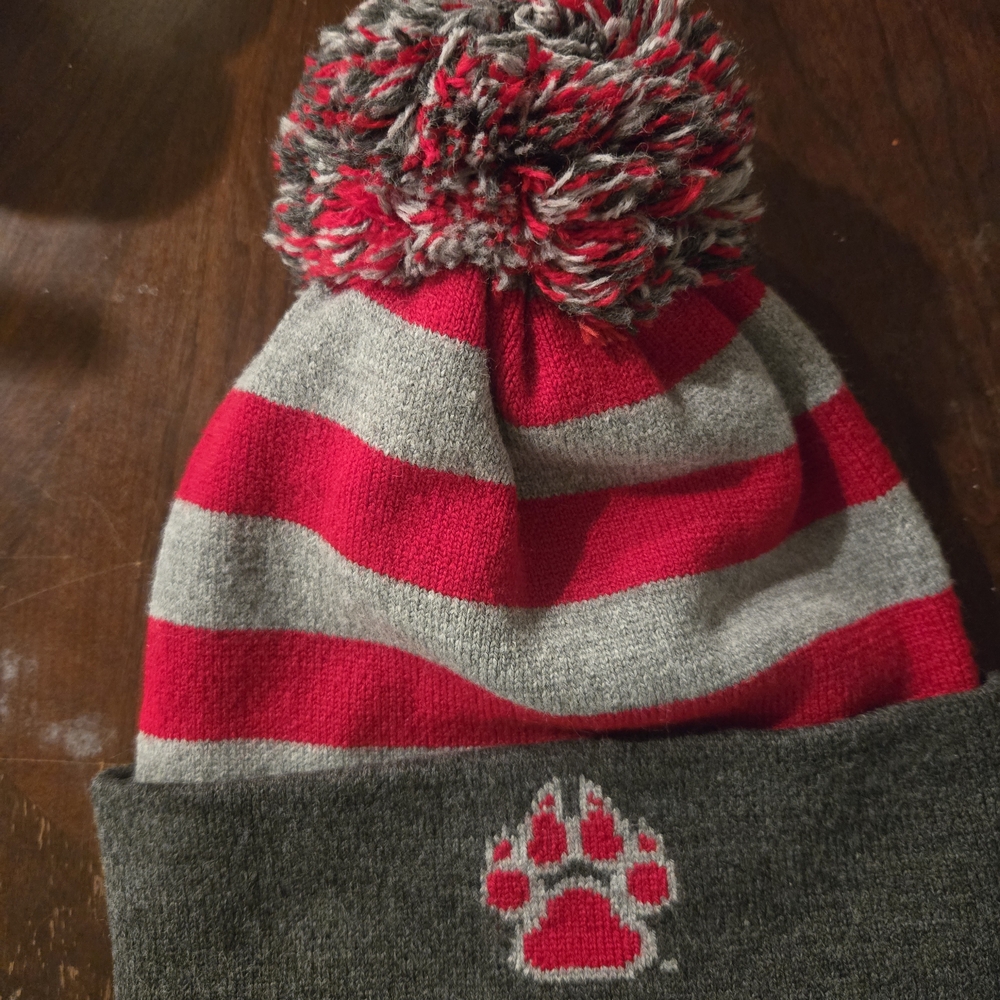 Kids Red and Gray Striped Pom Beanie with Paw Accent